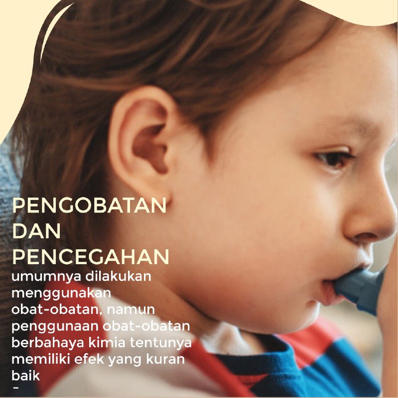 Pengobatan dan pencegahan penyakit asma secara&nbsp;alami