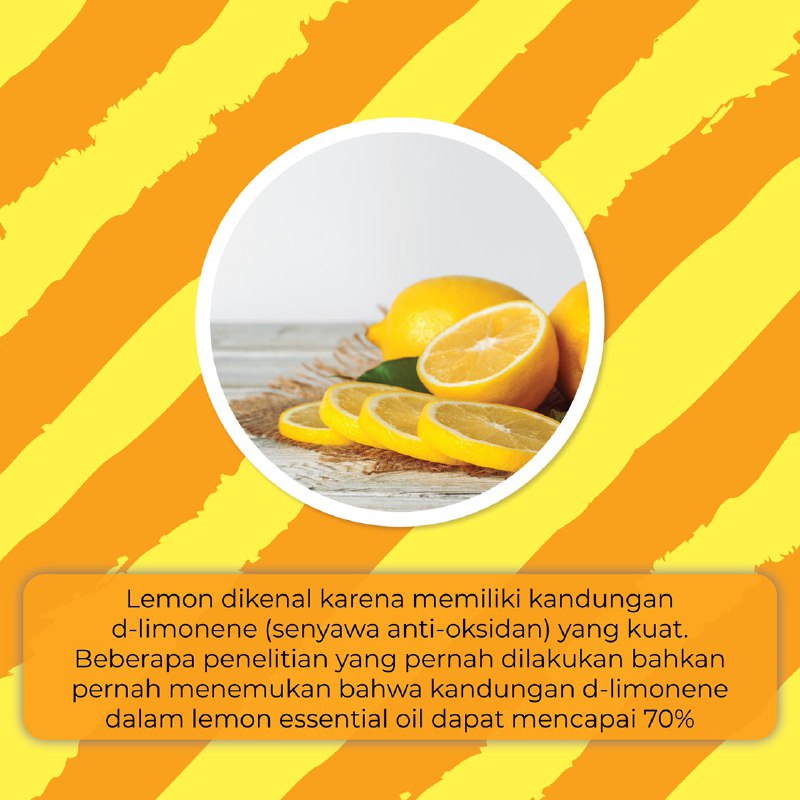 salah satu tanaman terbaik untuk membantu mengatasi Demam adalah Lemon. Keunggulan Lemon dalam mengatasi&nbsp;demam