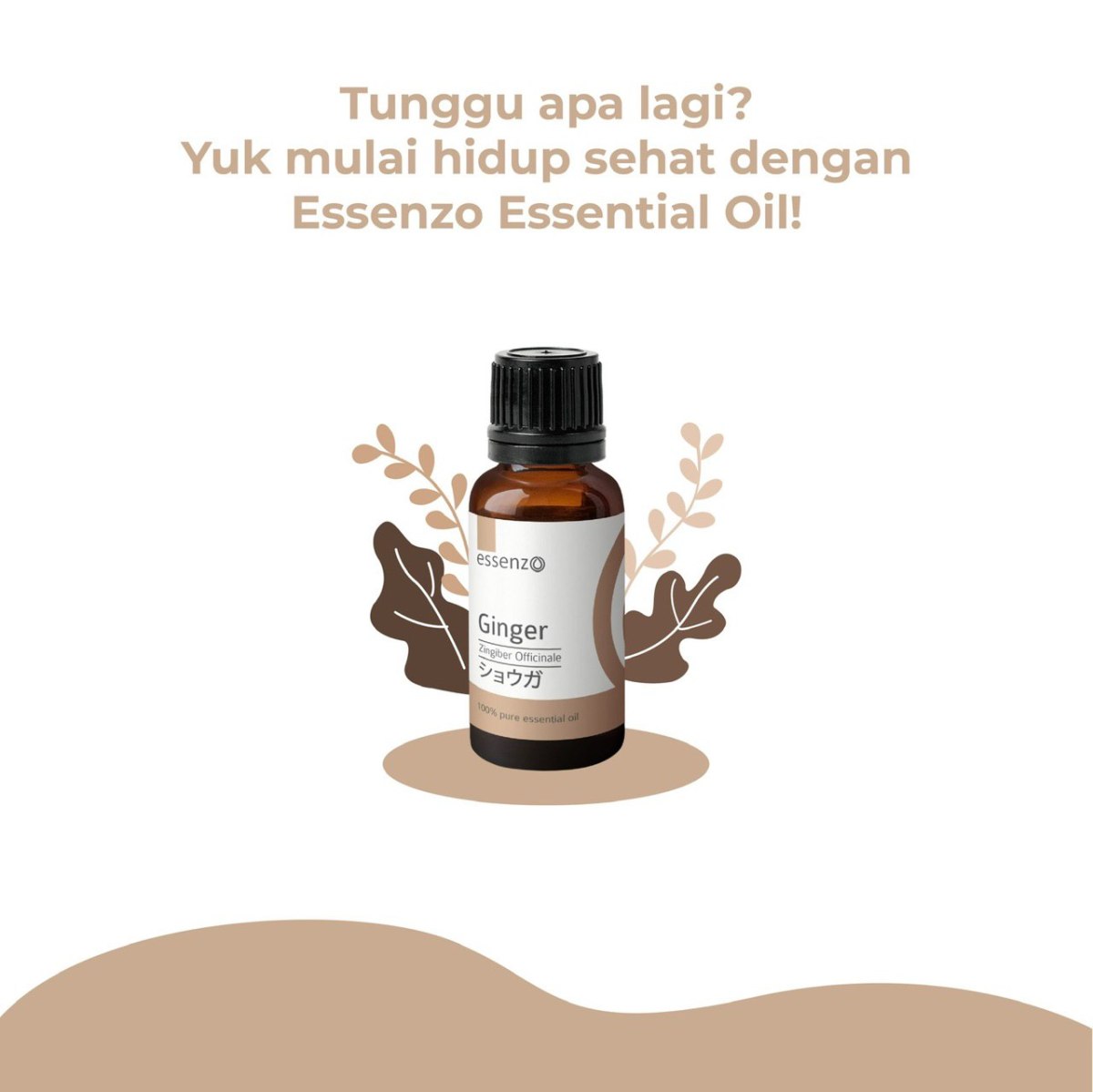 Manfaat Jahe / ginger untuk mencegah virus corona dan sulit&nbsp;pernafasan