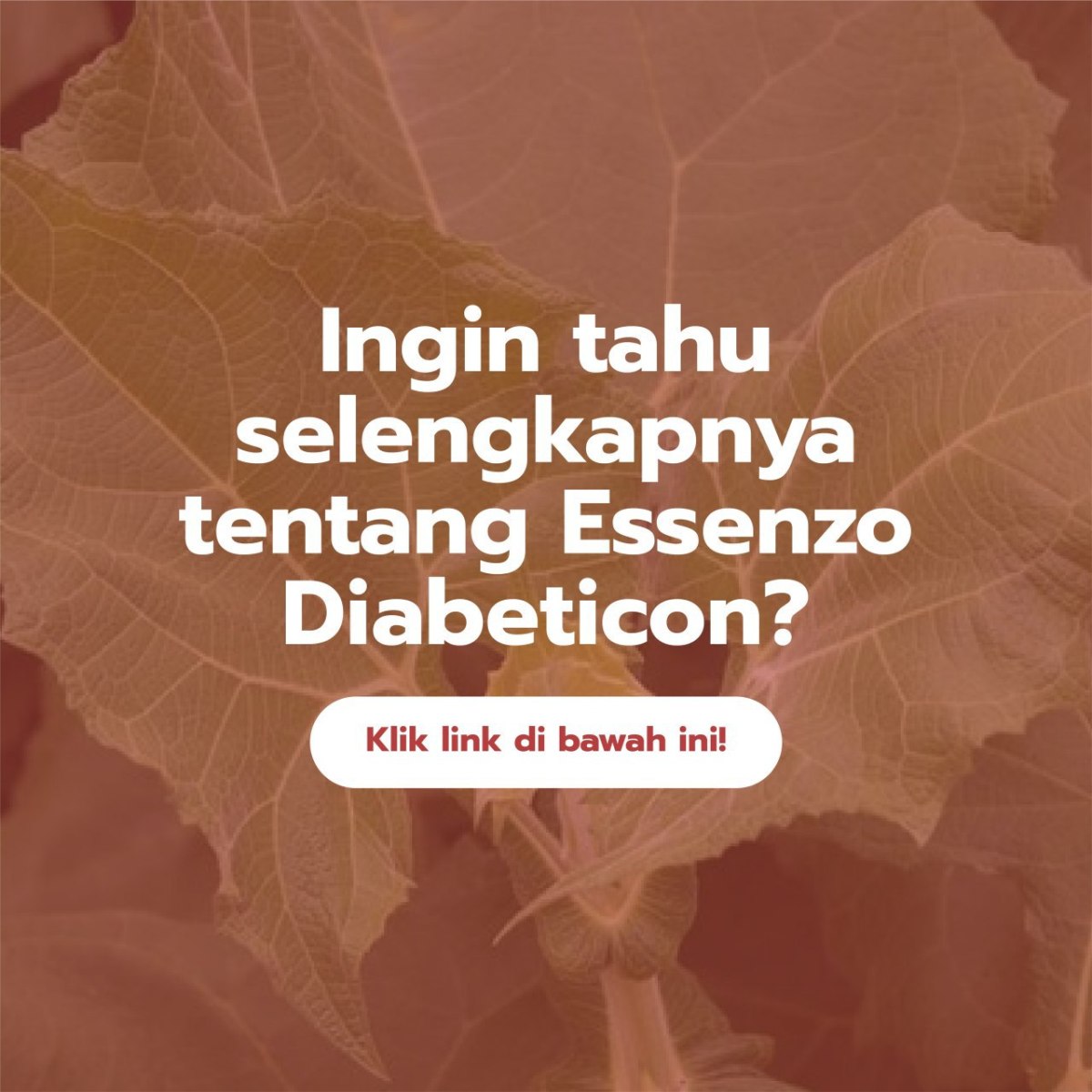 Jual Essenzo Diabeticon Untuk Mengatasi Diabetes dan Gula&nbsp;Darah