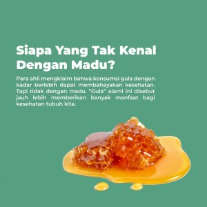 Berbagai Manfaat Madu untuk&nbsp;Kesehatan