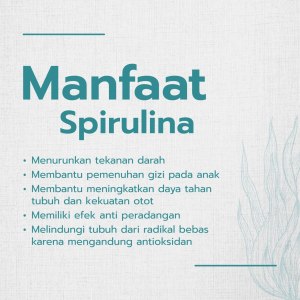 Eucalyptus Jadi Antivirus Corona