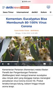 Eucalyptus Essential Oil Anti Virus Corona
