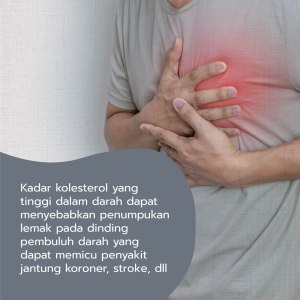 Akibat Kolesterol Tinggi Serta Solusinya